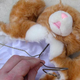 Image for article titled If You Can't Buy It, Build It: Wanky The Safety Cat